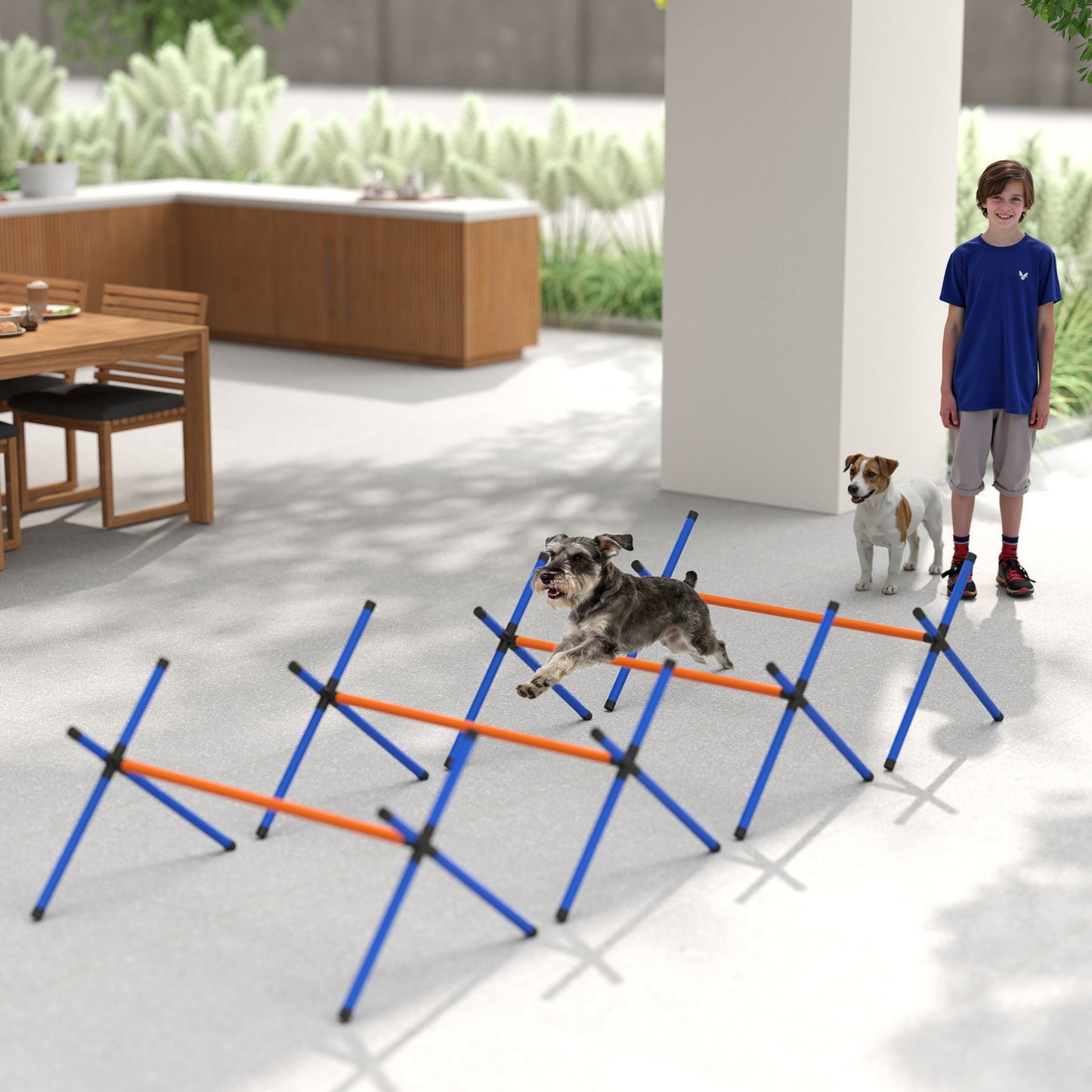 4 Pieces Dog Agility Equipment, Dog Agility Course Backyard Set with Adjustable Height Jump Bars and Carry Bag