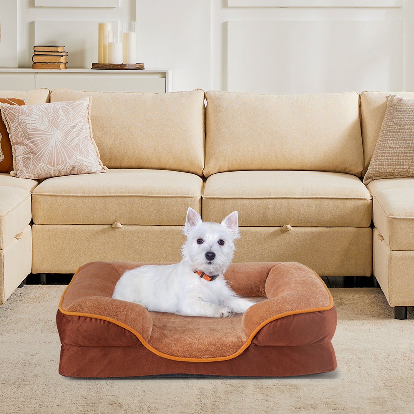 Lit en mousse à mémoire pour chien et chat — housse lavable, base antidérapante