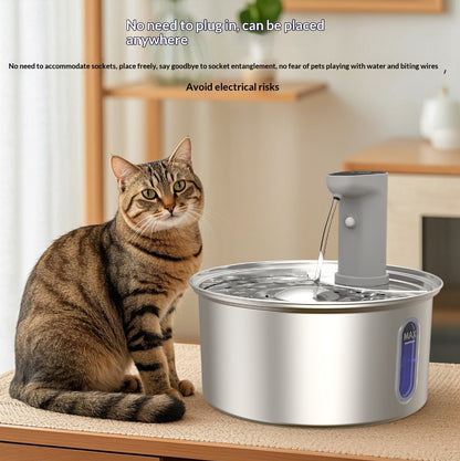Fontaine ronde inox automática para gato