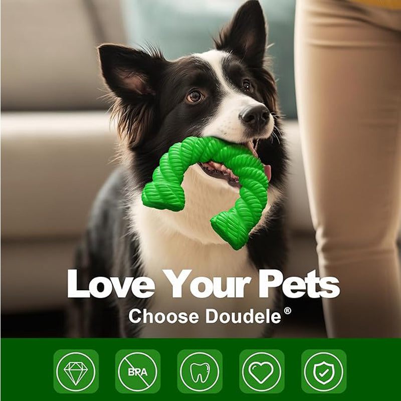 Jouet mordant caoutchouc naturel pour chien — fer à cheval