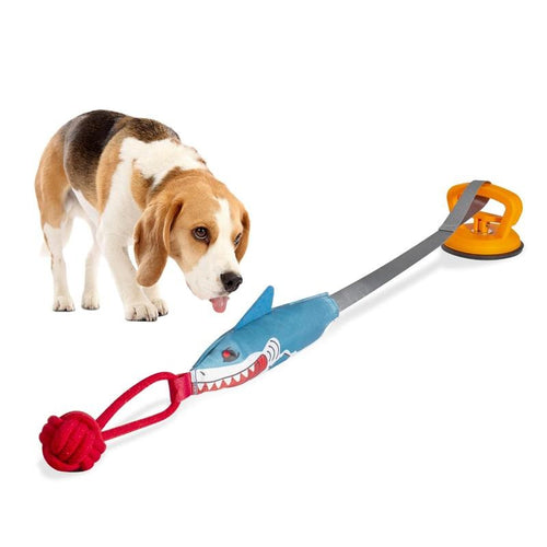 Juguete tiburón interactivo para perro y gato — ventosa, cuerda y chillador