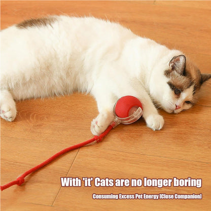 Bola rodante interactiva para gato