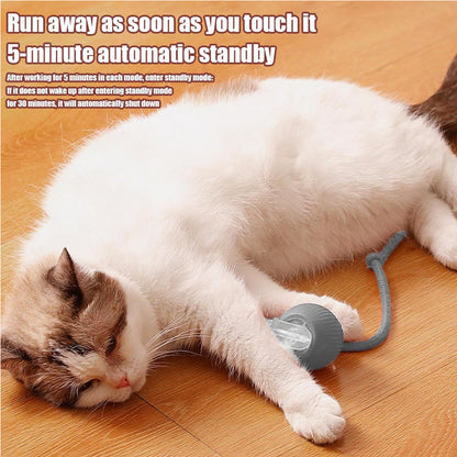 Bola rodante interactiva para gato
