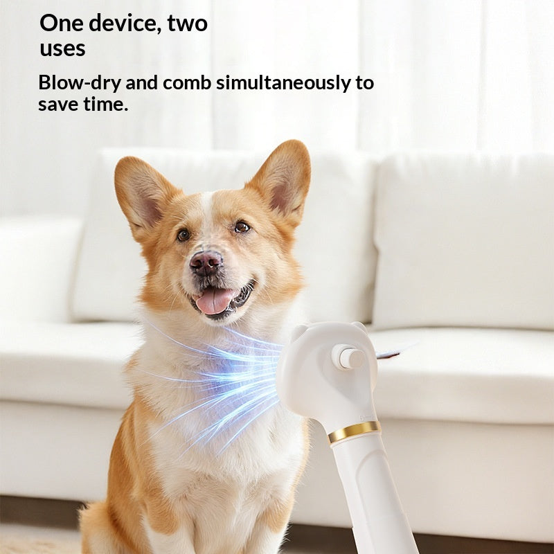 Secador eléctrico compacto para grooming de mascotas