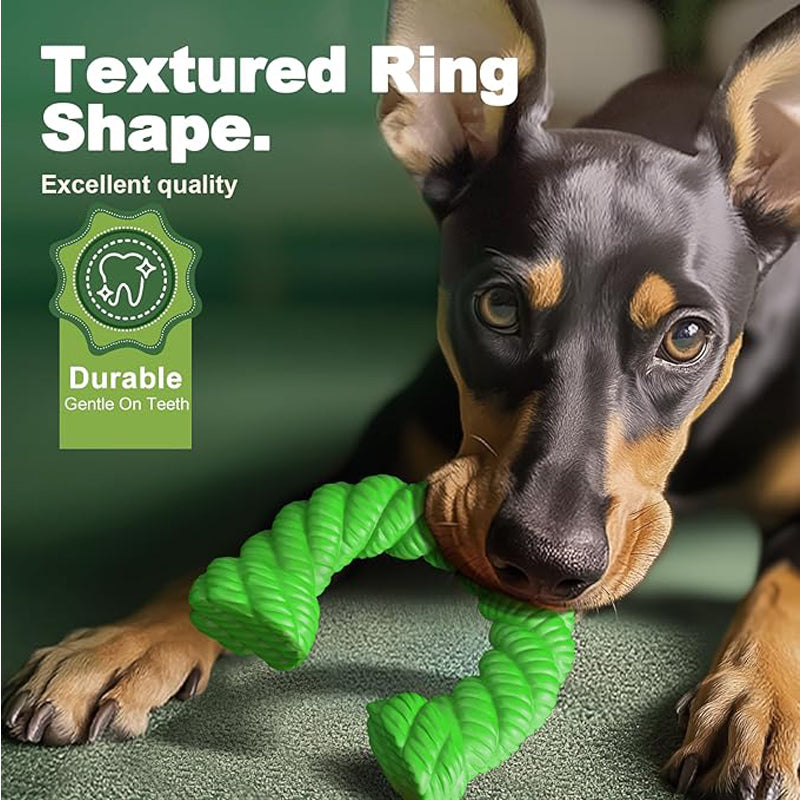 Jouet mordant caoutchouc naturel pour chien — fer à cheval