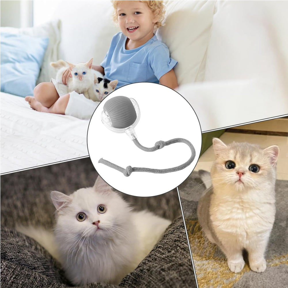 Bola rodante interactiva para gato