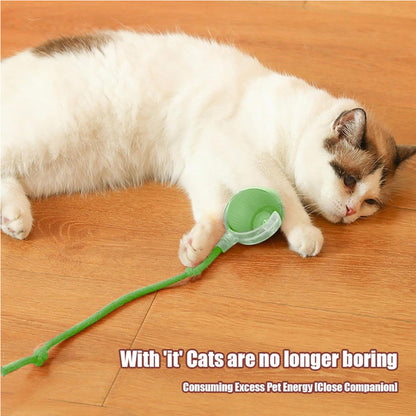 Bola rodante interactiva para gato