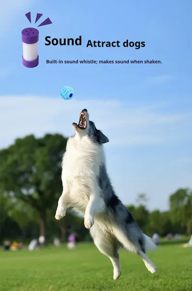 Bola sonora interactiva para mascotas — perro y gato