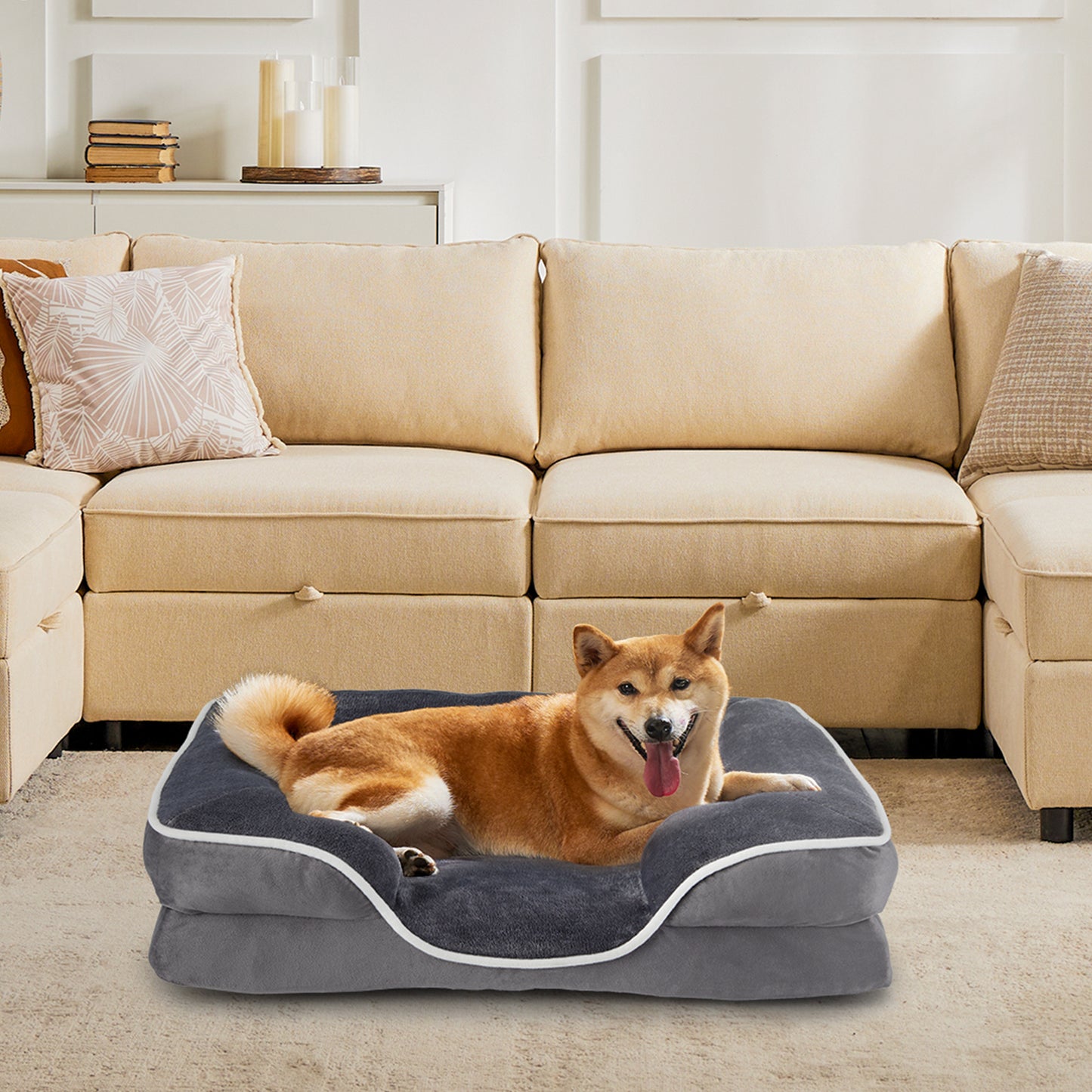 Lit en mousse à mémoire pour chien et chat — housse lavable, base antidérapante