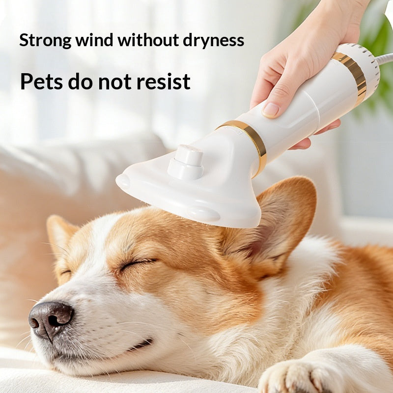 Secador eléctrico compacto para grooming de mascotas