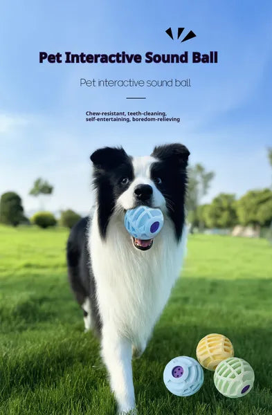Bola sonora interactiva para mascotas — perro y gato